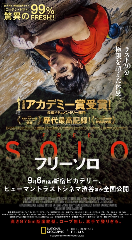 Free solo_poster